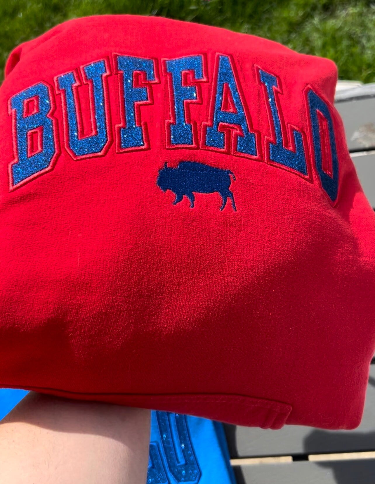 Buffalo Glitter Embroidered Sweatshirt